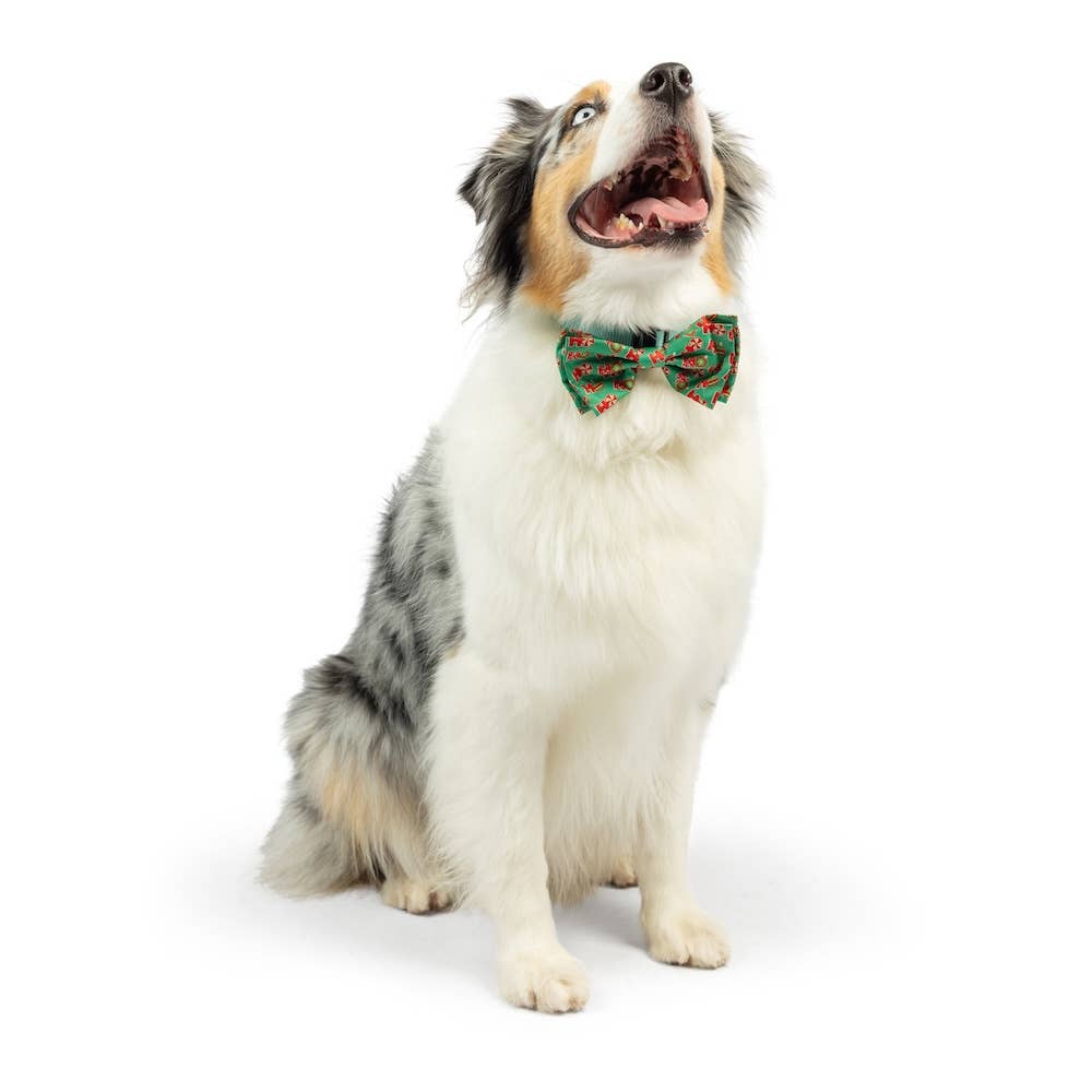 Huxley & Kent – Großhandel Fliege für Haustiere – Katze/Hund – Ho Ho Ho Fliege3