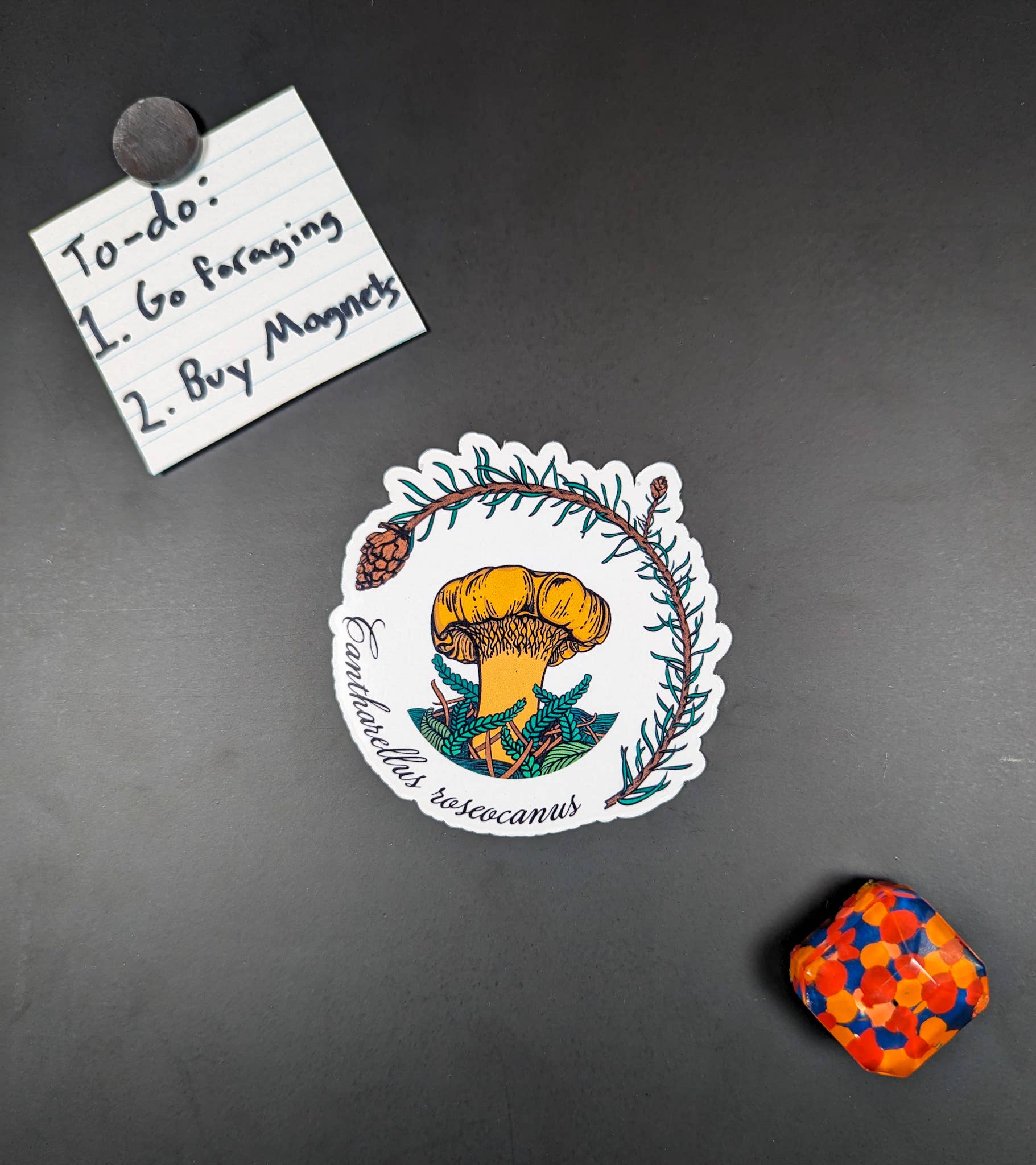 Mushroom Marauder - Venta al por mayor Imanes - Cantharellus roseocanus | Imán realista en forma de hongo2