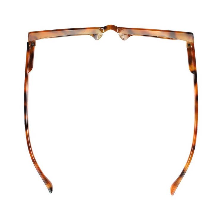 Ryan Simkhai Eyeshop – wholesale Sunglasses – Women's – CHASE | Light Tortoise | Tinted Readers2