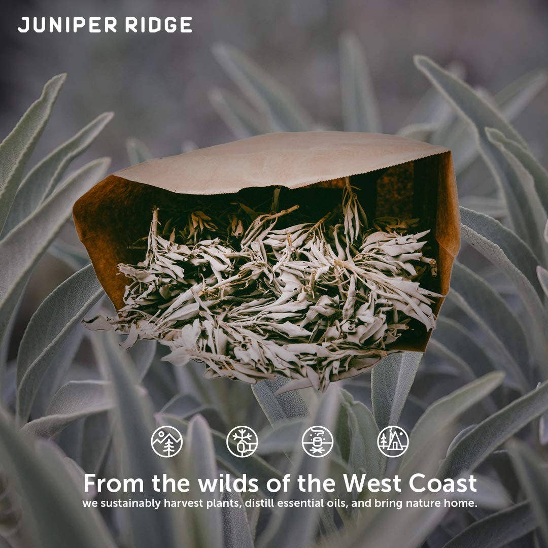 Juniper Ridge - Wholesale Sage bundle - Bulk Bundle - Cultivated White Sage Loose Leave - 1 lb.1