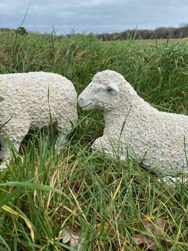 Ovelha Espinhosa Branca - A Descansar por atacado de ABitQuackers