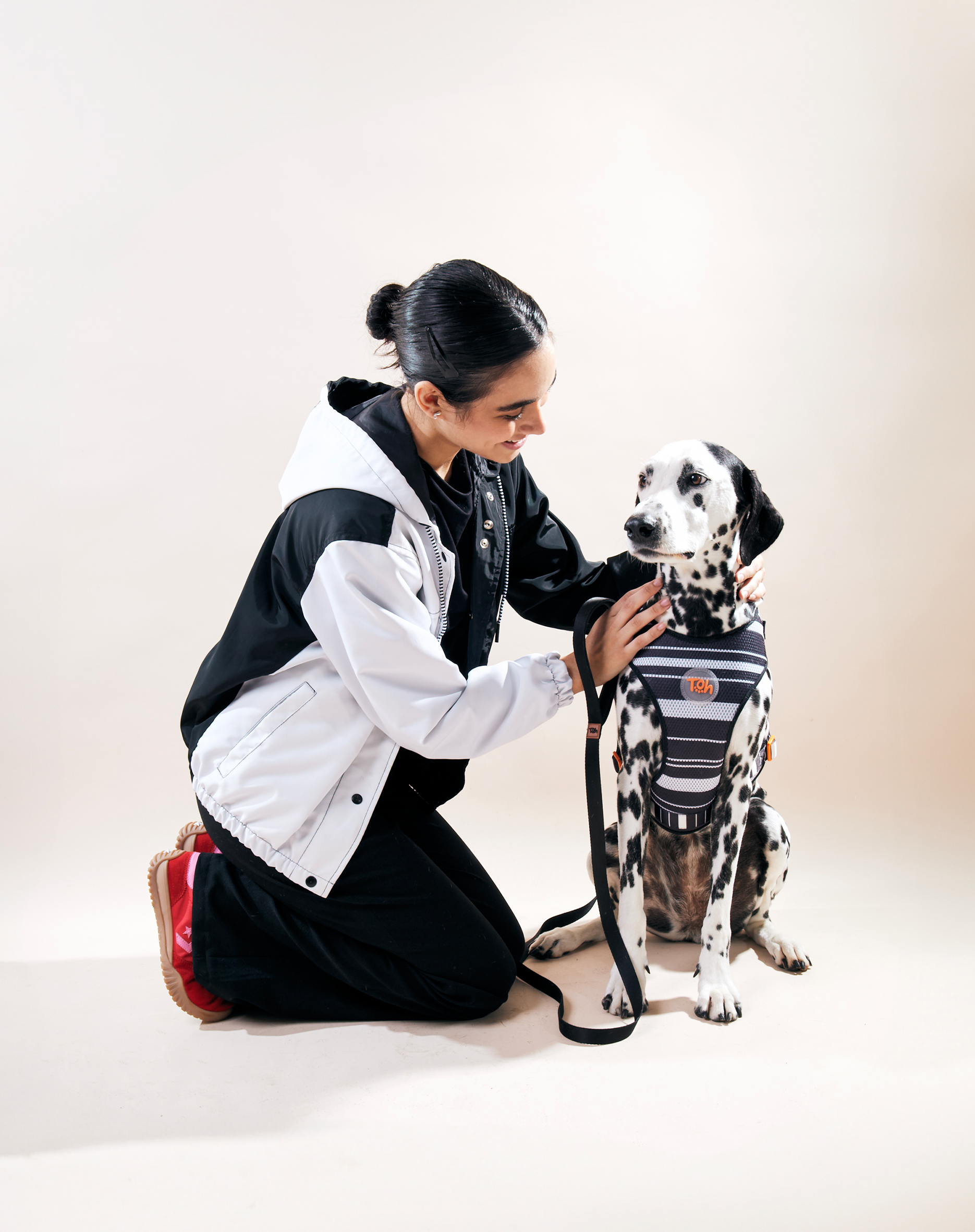 Toh - Wholesale Pet Harness - Dog - H-Mesh Dog Harness Eclipse4