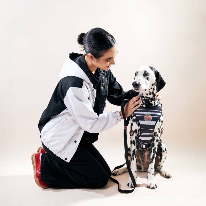 Toh - Wholesale Pet Harness - Dog - H-Mesh Dog Harness Eclipse4