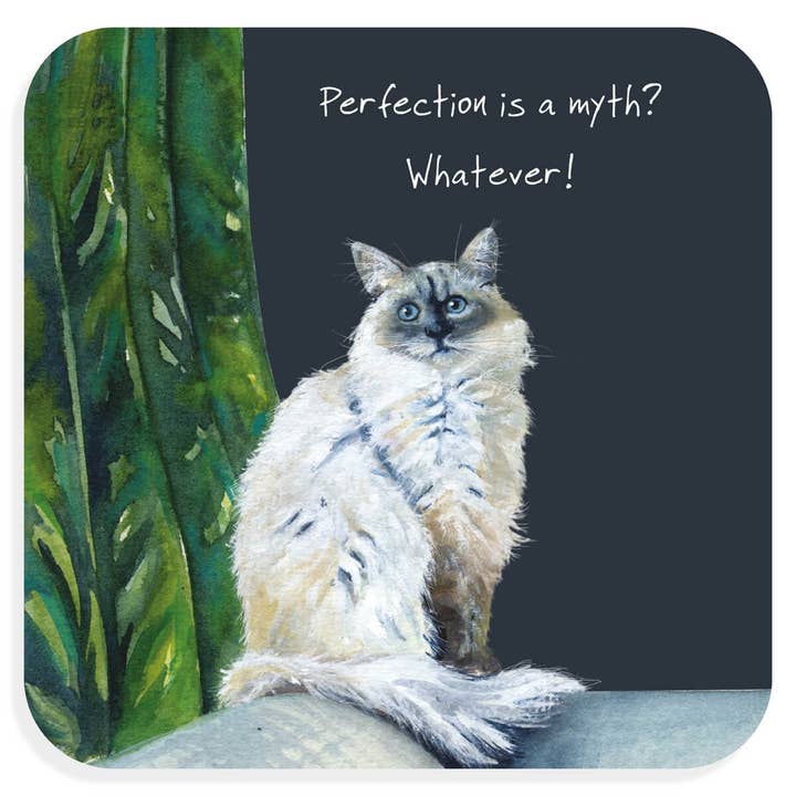 Ragdoll Cat Coaster for wholesale by The Little Dog Laughed