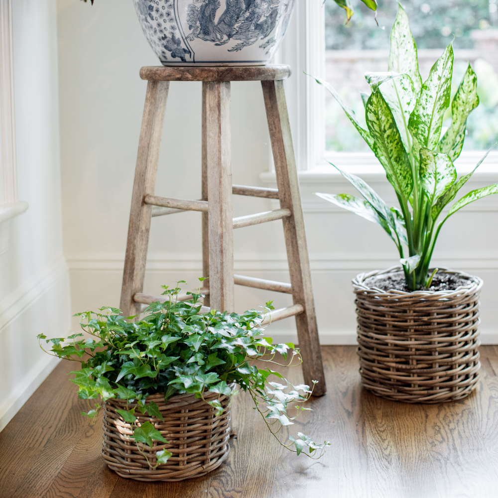 Basketly – Engroshandel Kurv – Rattan blomsterkurv med plastindsats11
