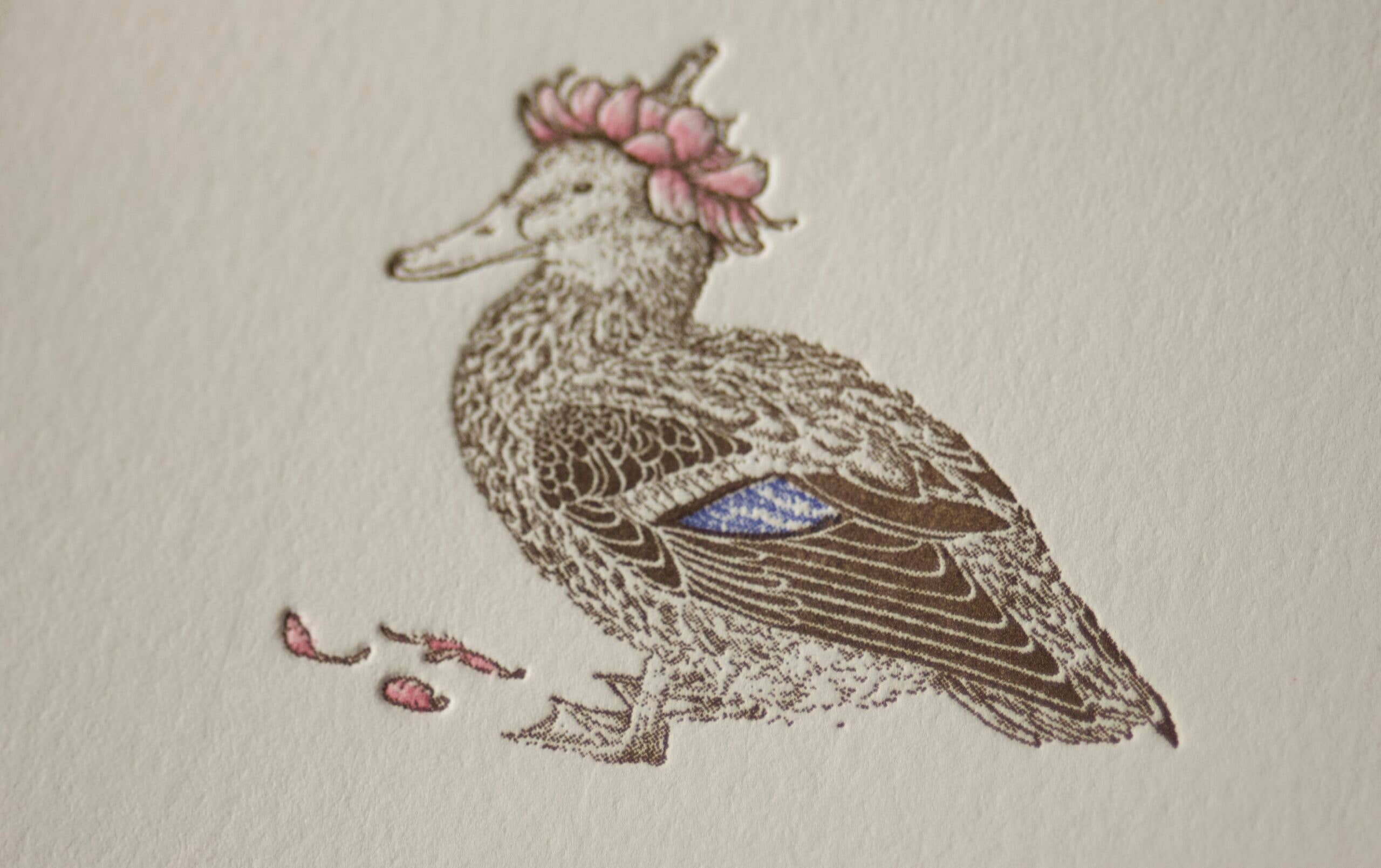 Ancesserie Letterpress - Vendita all'ingrosso Set di cartoleria/cancelleria - Carte per appunti Duck1