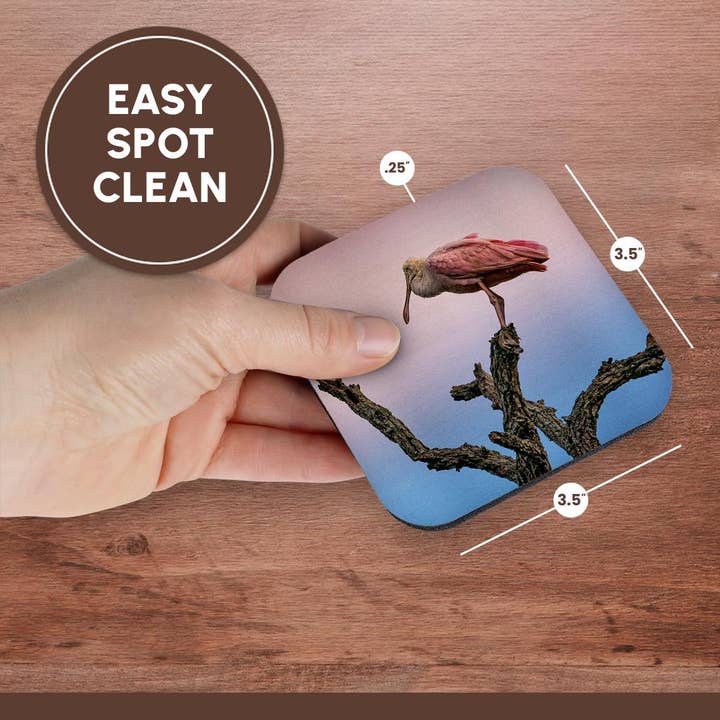 3dRose - Wholesale Coasters - 3dRose, Spoonbill on the tree, Coaster13