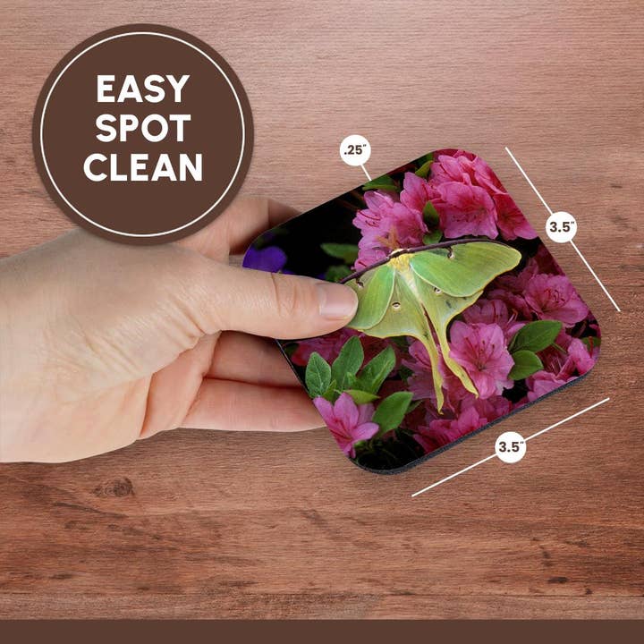 3dRose - Wholesale Coasters - 3dRose, USA, Pennsylvania, Luna moth insect, pink azaleas - US39 BJA0010 - Jaynes Gallery, Coaster13