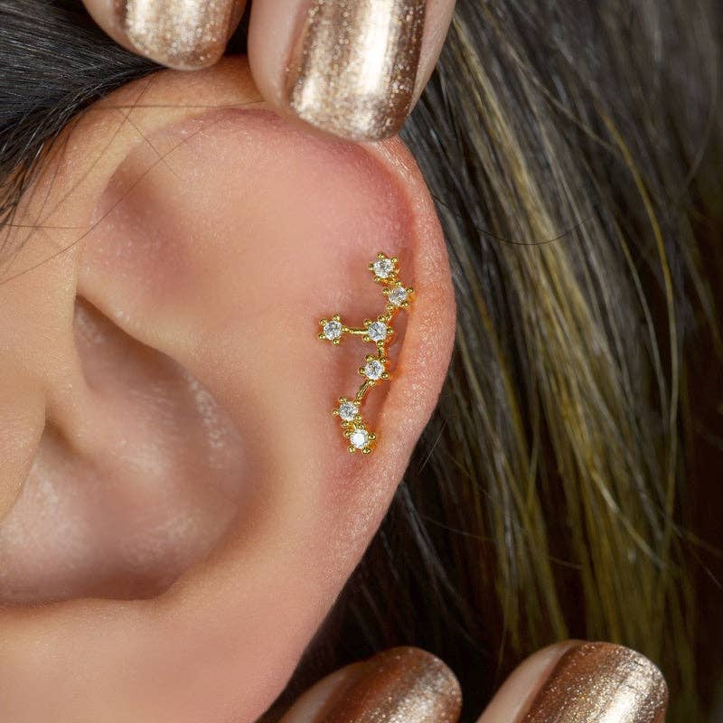 StockJWL - Wholesale Stud/Post Earrings - 12 Zodiac Earrings, Constellation Stud Earring Stud Piercing Tragus Helix Lobe and Cartilage Silver And Gold27