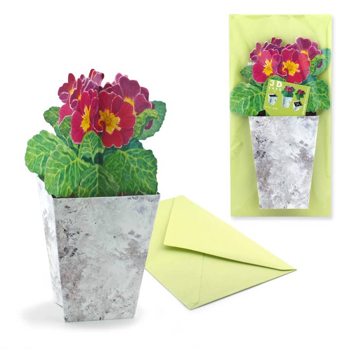 3D-Grußkarte Primeln für den Großhandel von Gollnow Paper Creations