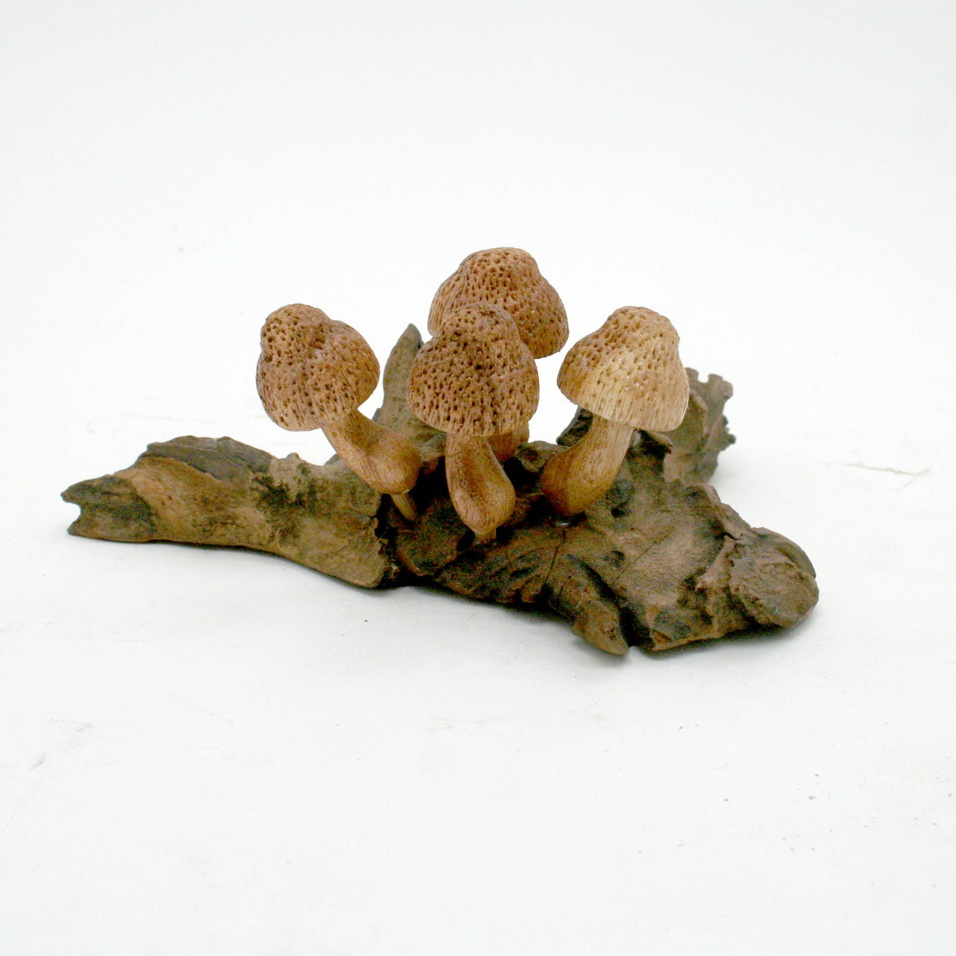Modern Eastern by Contrast Inc. - Wholesale Decorative Tabletop Object - (5) Wood Dot Mushrooms on Driftwood1