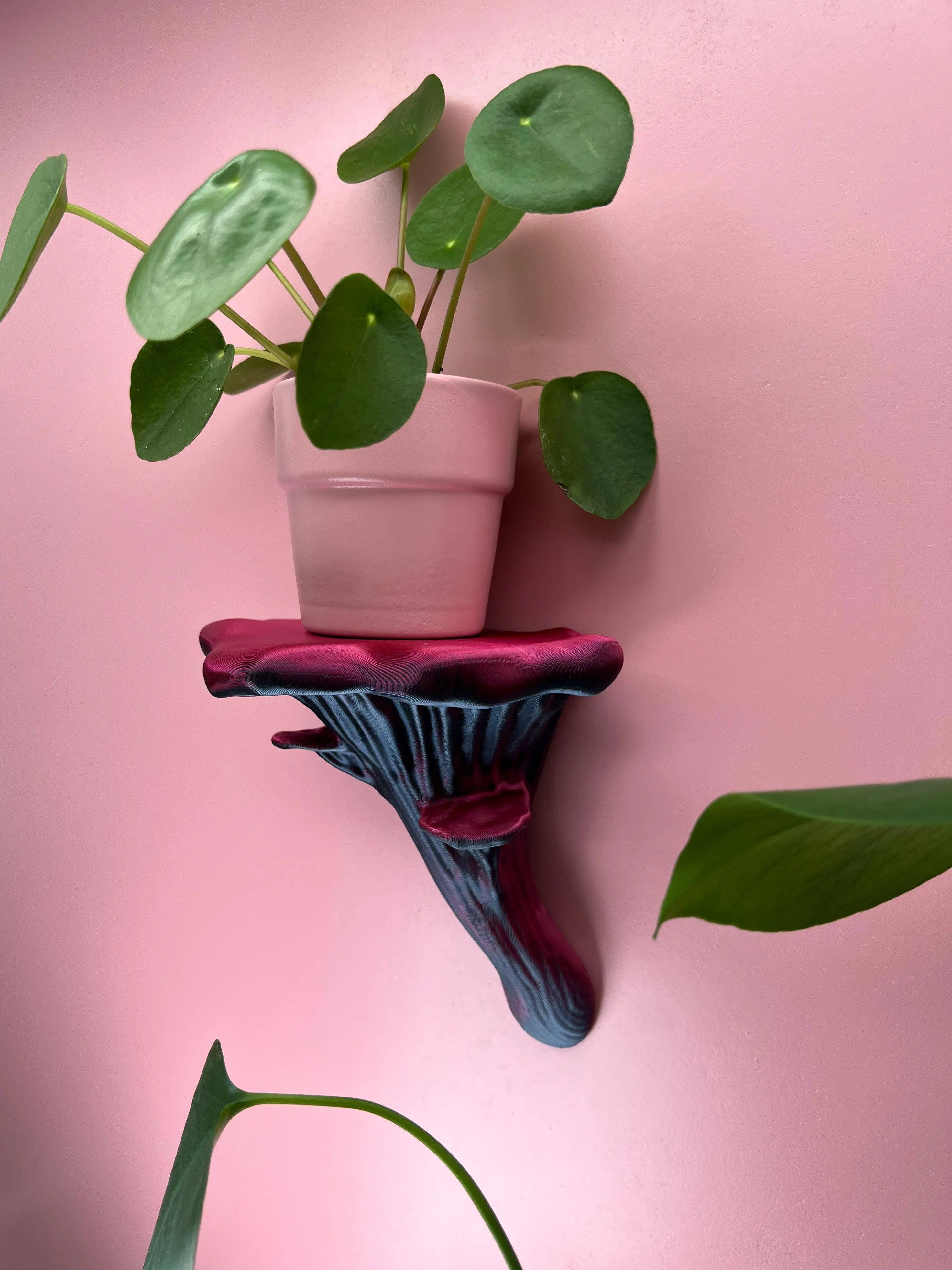 Roomberry - Wholesale Wall Mounted Shelf - Floating Oyster Mushroom Wall Shelf13