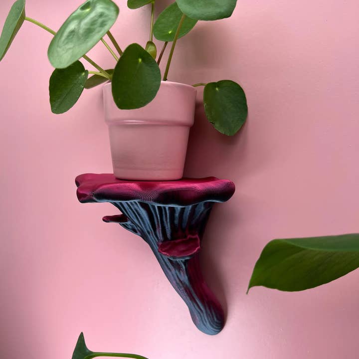 Roomberry - Wholesale Wall Mounted Shelf - Floating Oyster Mushroom Wall Shelf13