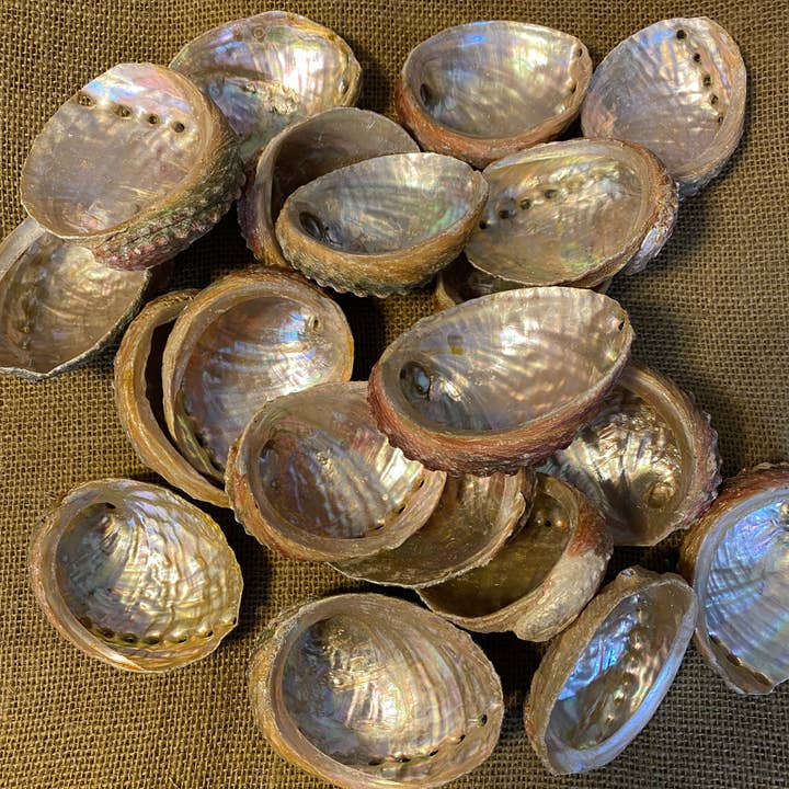 Full Moon Farms, LLC - Wholesale Smudge plate - Abalone Shell Small Bulk
