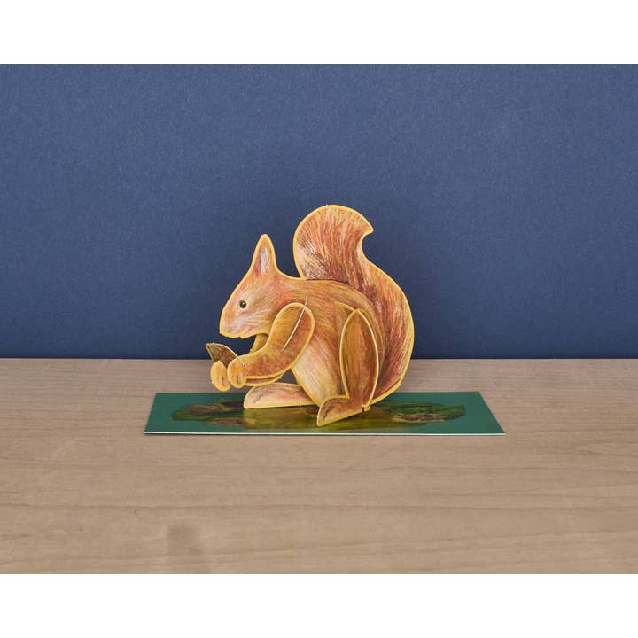 Écureuil roux émergeant pour la vente par Art Angels