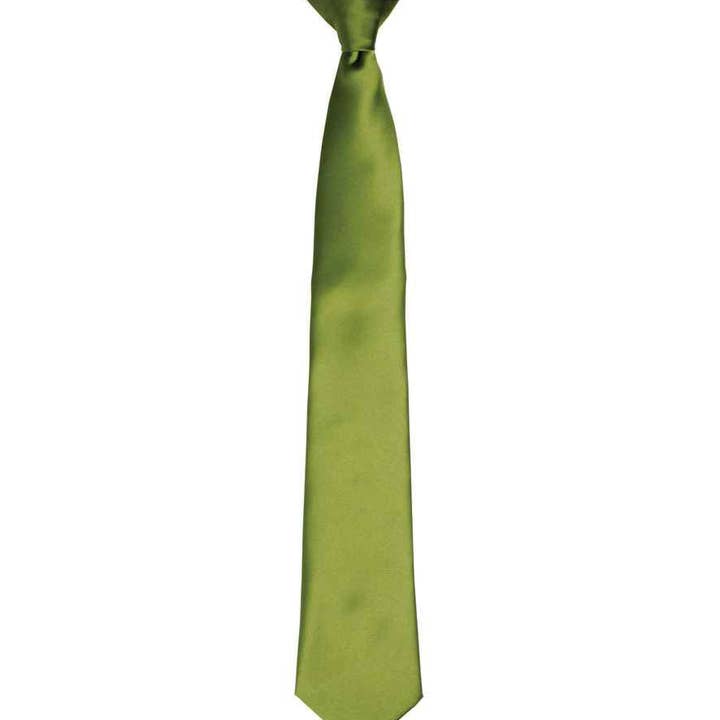 Pierre Francis – wholesale Necktie – Men’s – Premier - 'Colours' Satin Clip Tie14