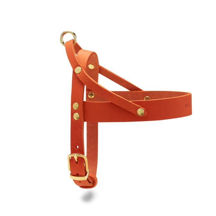 Molly and Stitch - Wholesale Pet Harness - Dog - Butter Leather Dog Harness - Mango1