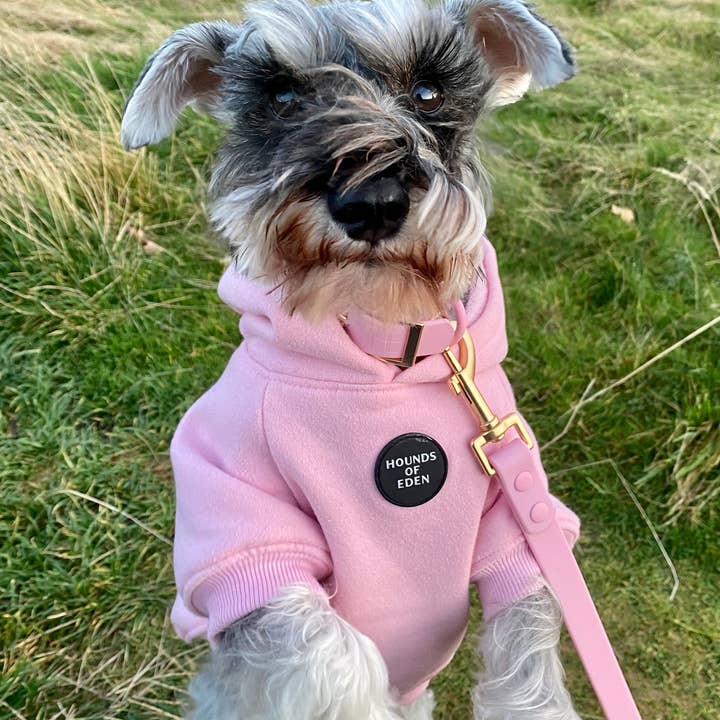 Hounds of Eden – wholesale Pet hoodie – Dog – Dog Hoodie - Purple12