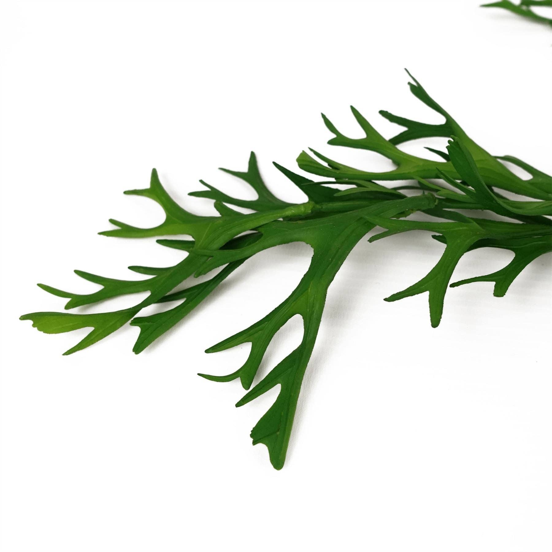 Leaf Design UK LTD - Wholesale Artificial Plant - Artificial Staghorn Fern Botanik1