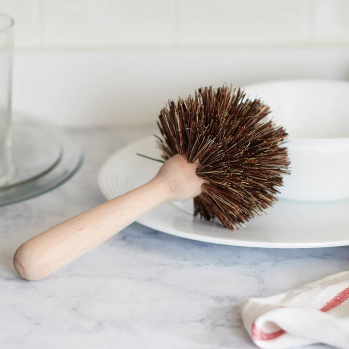 Fox Run Brands - Wholesale Cleaning Brush - Fox Run Natural Dish Brush, Bassine, 8.5"