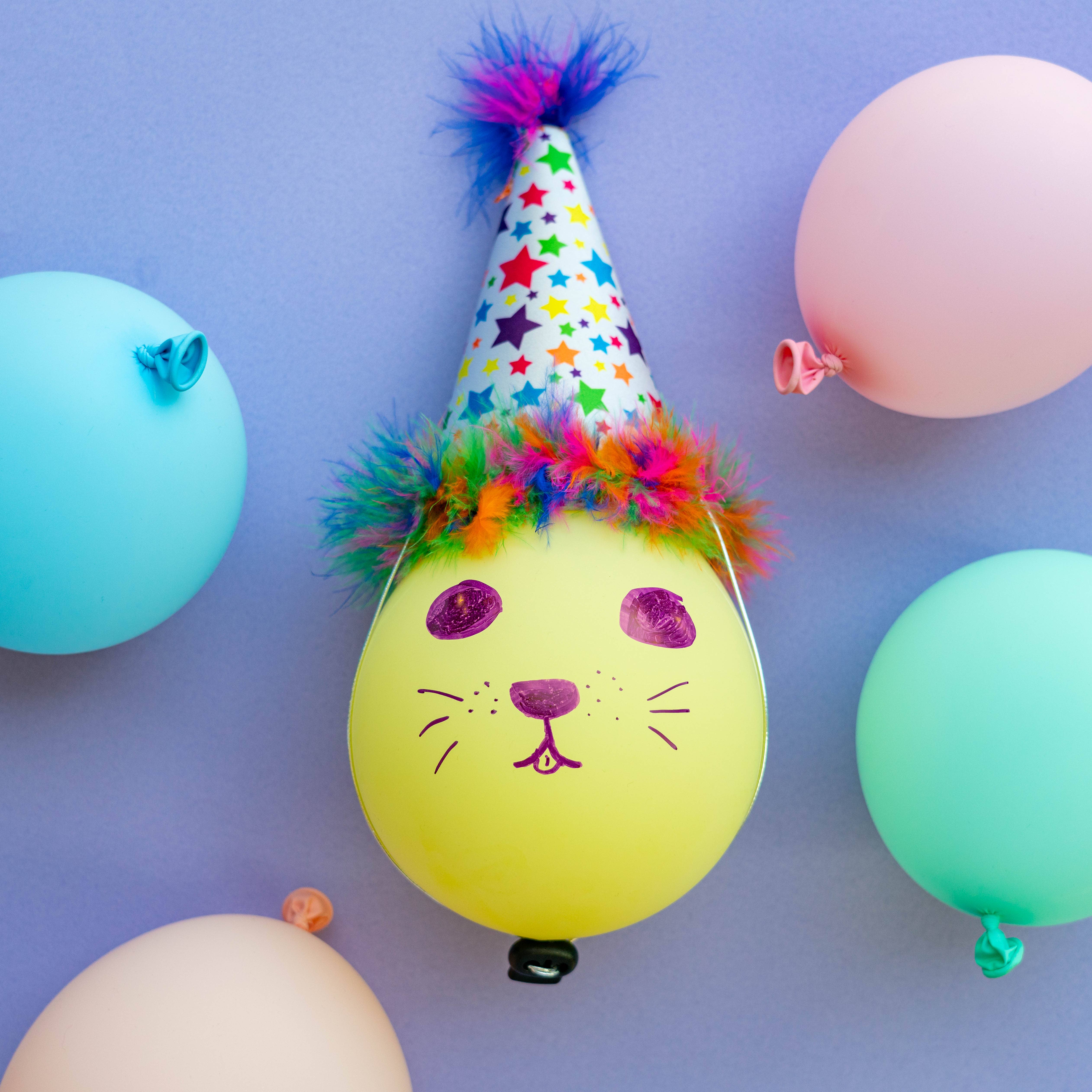 Huxley & Kent - Vente Chapeau – chien - Chapeau de fête Superstar avec SnugFit®7