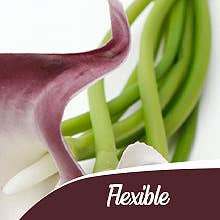 Angel Isabella - Wholesale Artificial Flowers - 14" -Pack of 10 Soft Touch Lifelike Calla lily 2" Bloom4