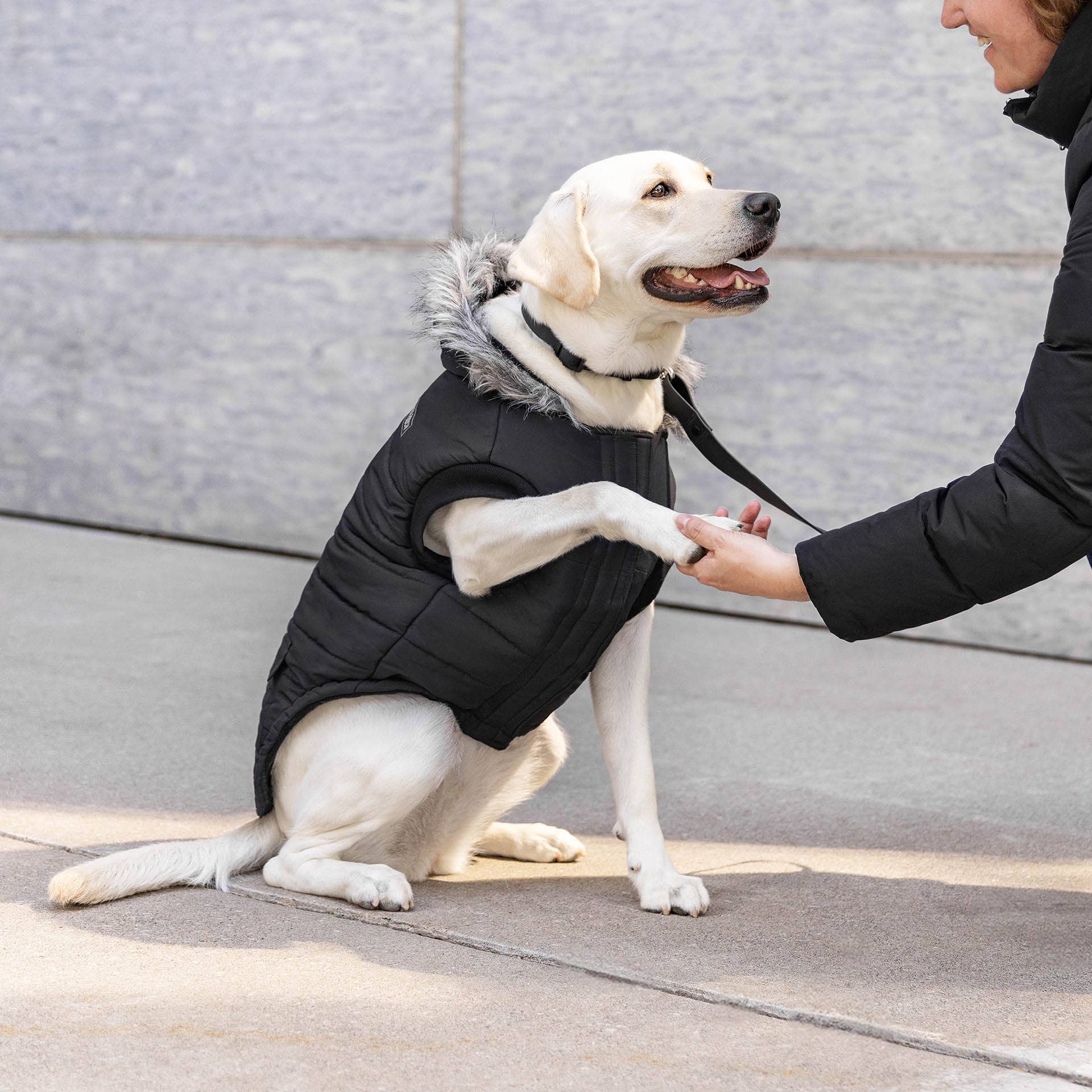 Canada Pooch - Vendita all'ingrosso Cappotto - Cani - Parka invernale True North per cani19