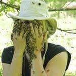 Honeybee Herbs - Wholesale Honey - Raw Unfiltered Honey4