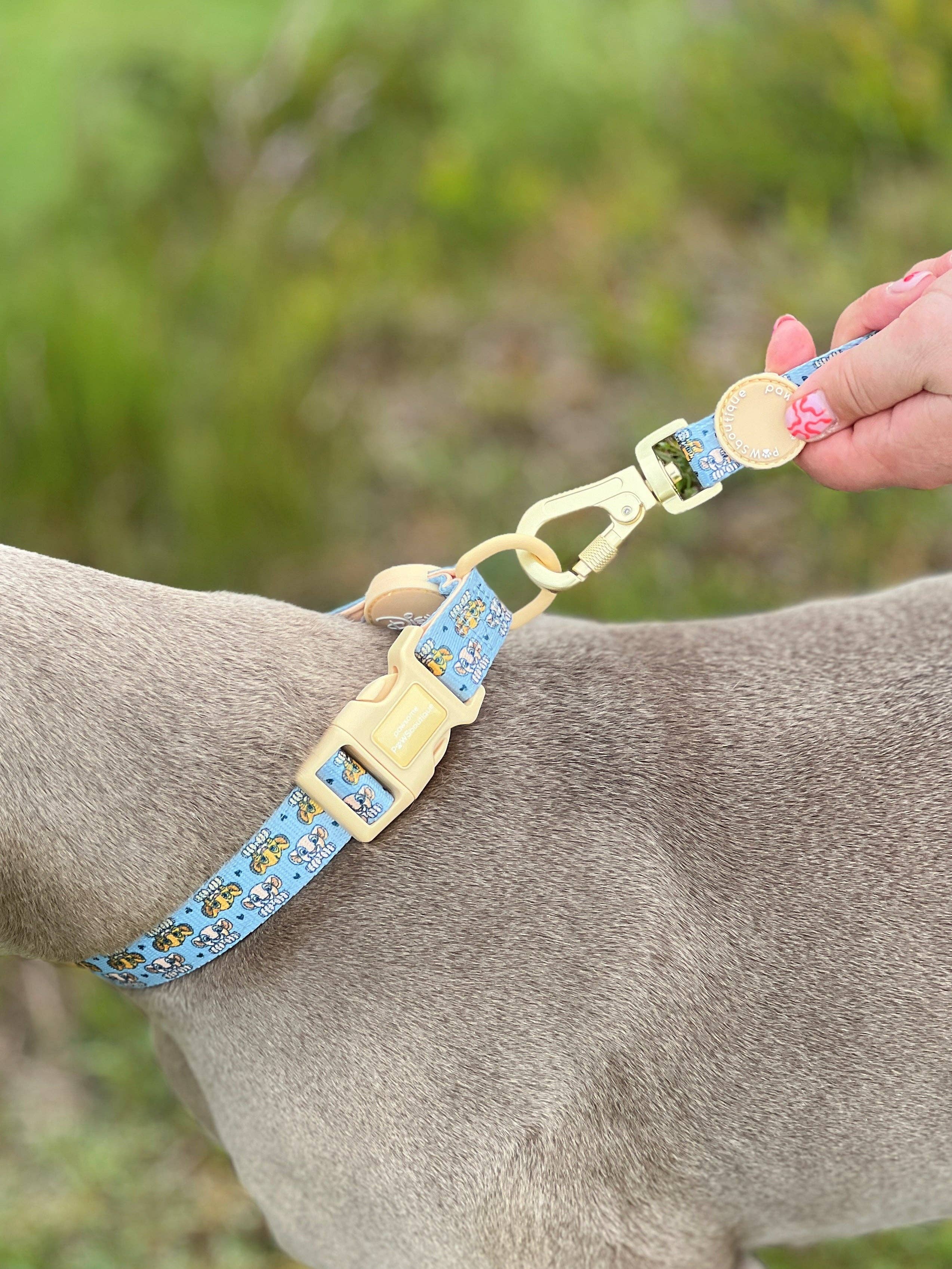 Pawsome Paws - Wholesale Pet Leash - Dog - Disney© Lead - Lion Friends8