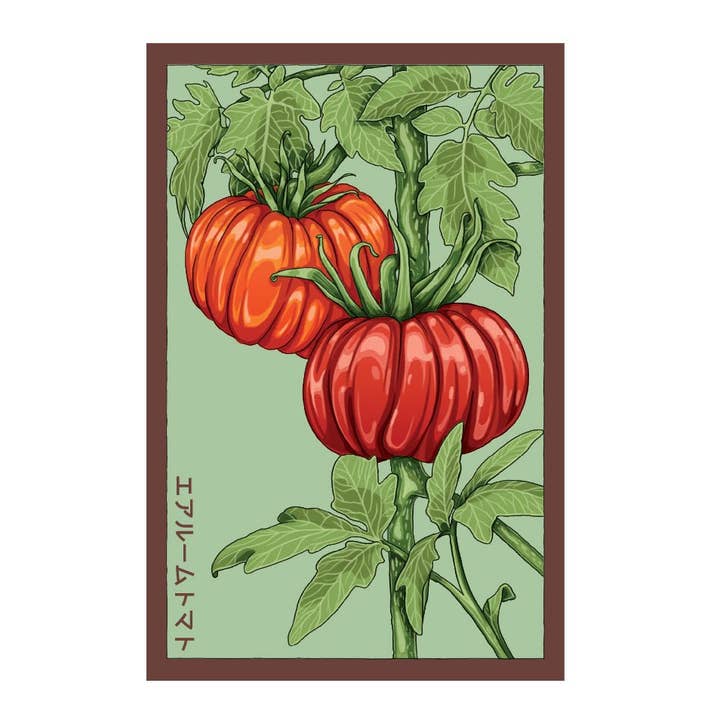 Shido Seeds: Heirloom Tomato Vegetable Seeds Packet - Flower Pot, Unique Plant Accessories, Plant Related Gifts and other Purchase Wholesale tomato seeds. Free Returns & Net 60 Terms on Faire trending on Faire.