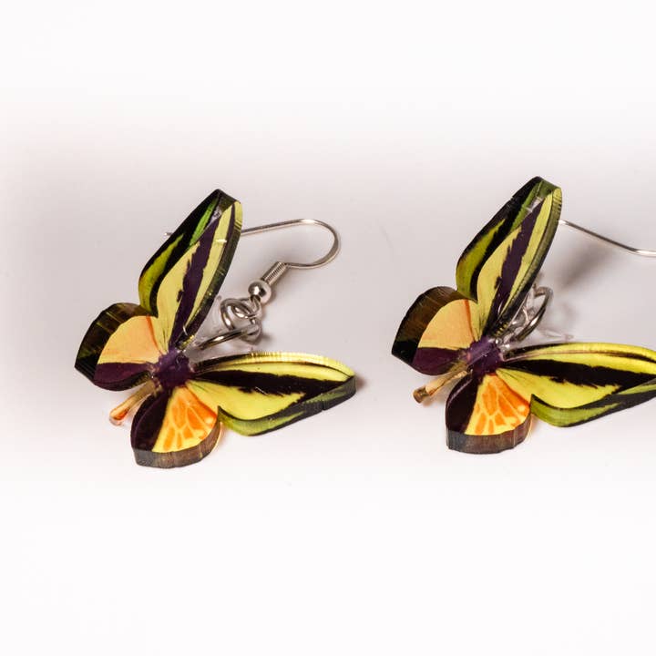 Goliath Vogelflügel-Schmetterlings-Ohrringe für den Großhandel von Steamy Tech