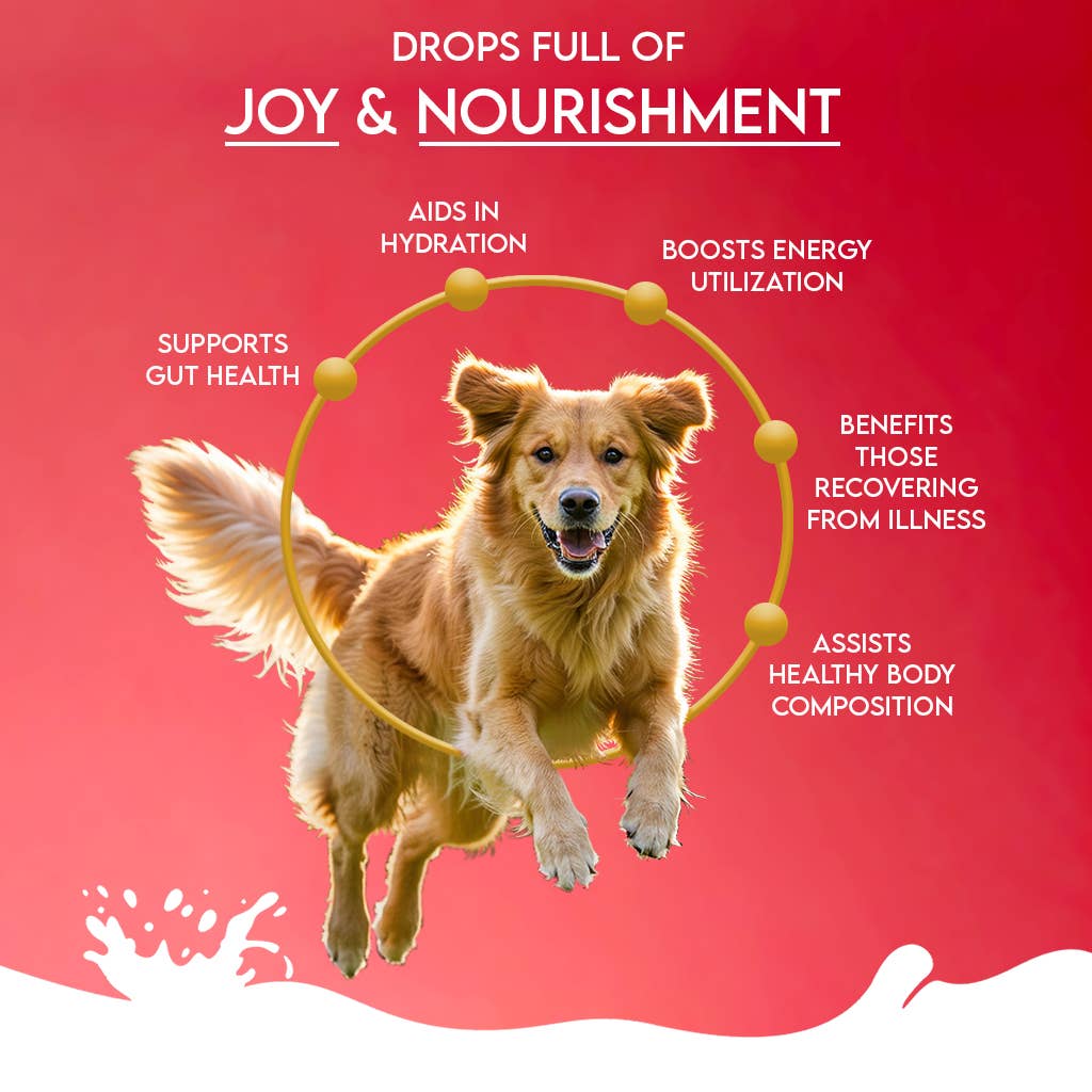 Pawfect Foods – wholesale Pet supplement – Dog – Pawfect Nature's Sip Camel Milk Powder with Apple, Coconut, Beetroot & Mint for dogs | Easily Digestible| Pre & Probiotics| Healthy Topper| Low Glycemic| Hydration Support5