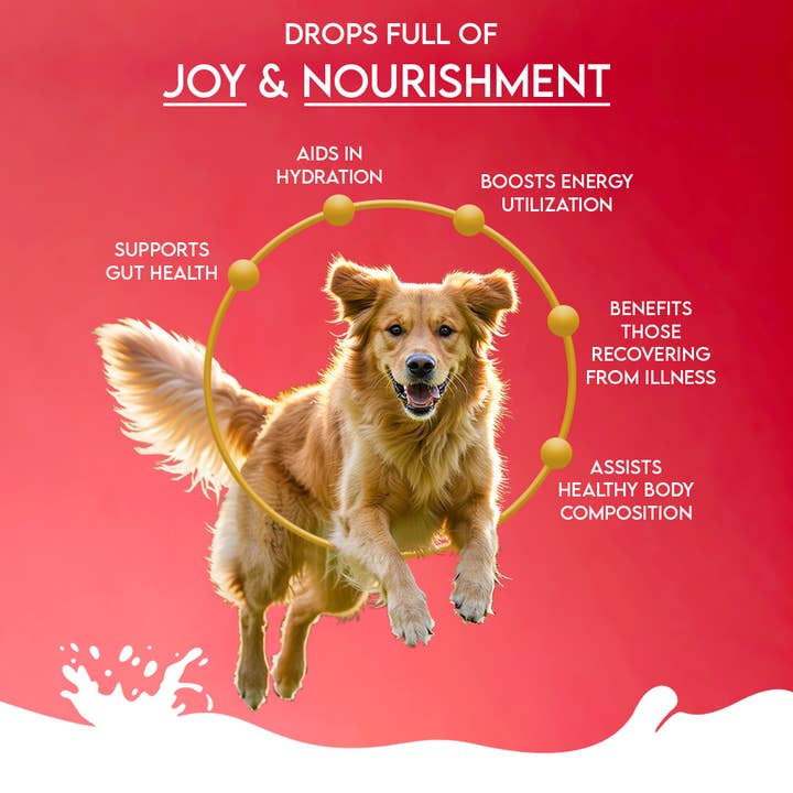 Finest Petfoods - Wholesale Pet Supplement - Dog - Pawfect Dog Camel Milk Apple & Coconut 150 gr. 8