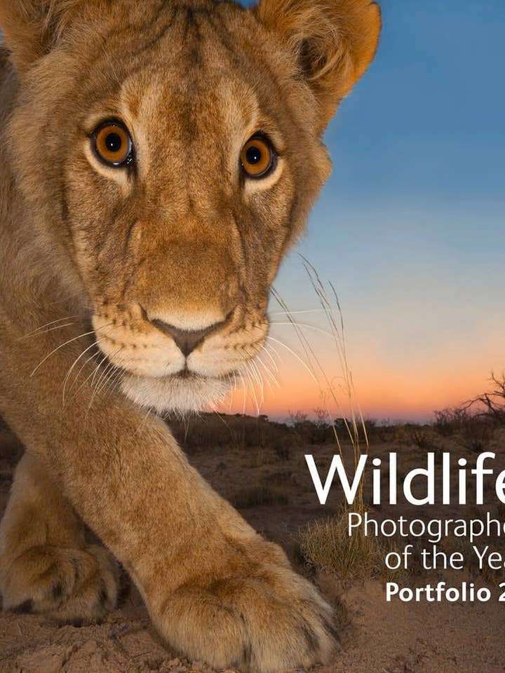 Photographe de la faune de l'année - Portfolio 23 pour la vente par Boon Books