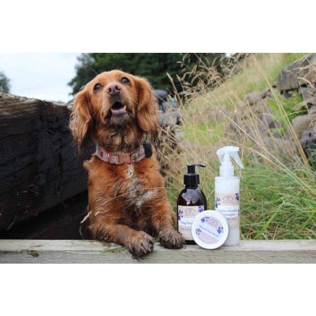 Wholesale Natural Dog Shampoo for Sensitive Itchy Skin for your