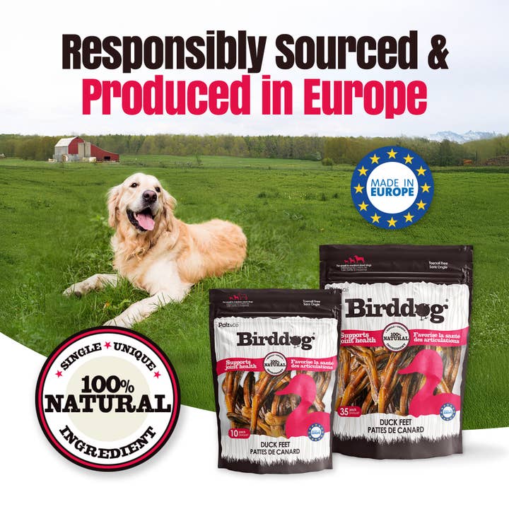 Palz&Co - Wholesale Pet Treats - Dog - Birddog Duck Feet (no nails) - Pack of 10 & 359