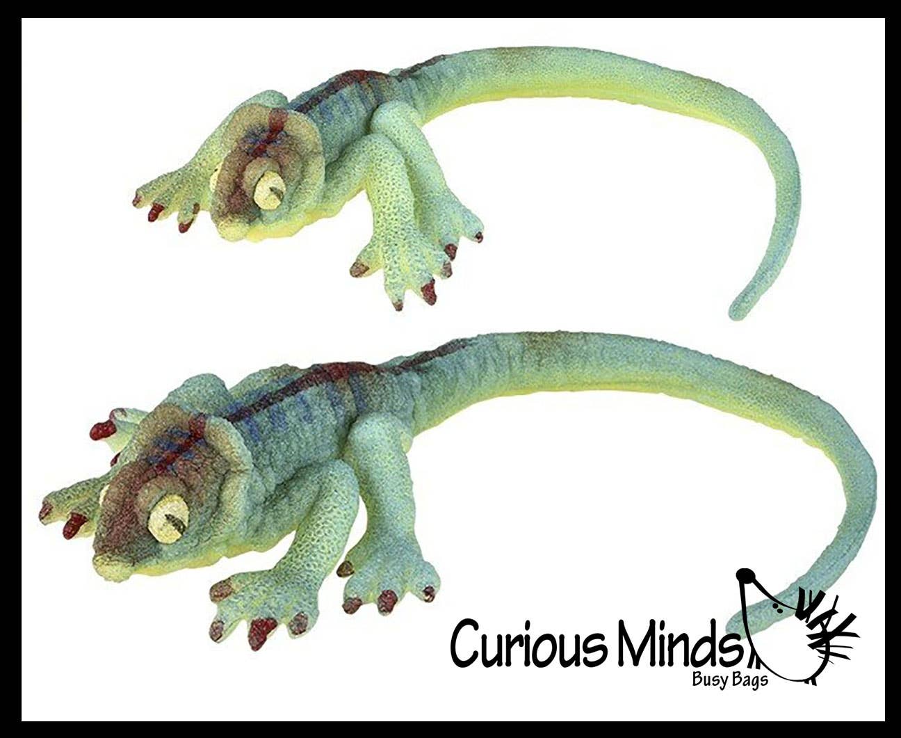 Curious Minds Toys - Vente Fidget/jouet anti-stress – enfant - 1 jumbo : faites pousser un lézard dans l'eau. Ajoutez de l'eau et il grandit11