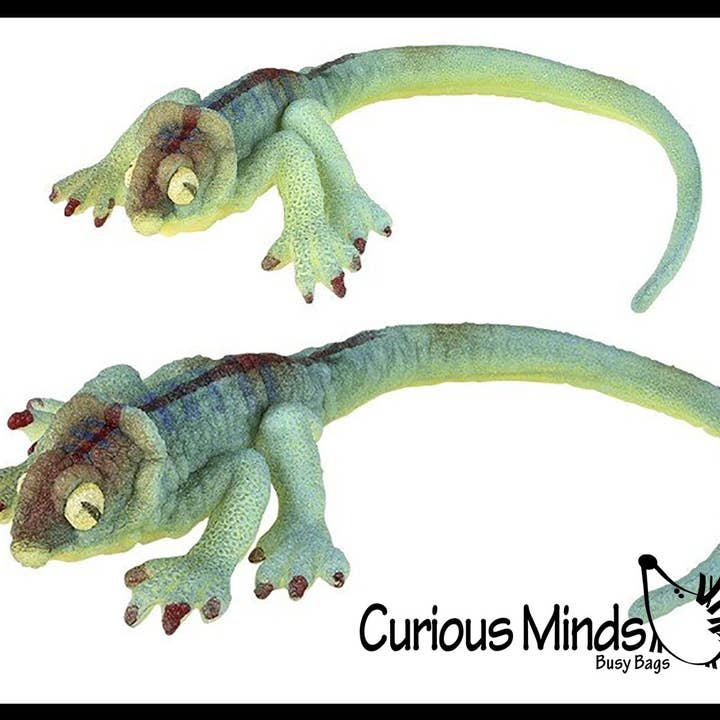 Curious Minds Toys - Wholesale Fidget toy – Kids - 1 Jumbo Grow a Lizard in Water - Add Water and it Grows up11