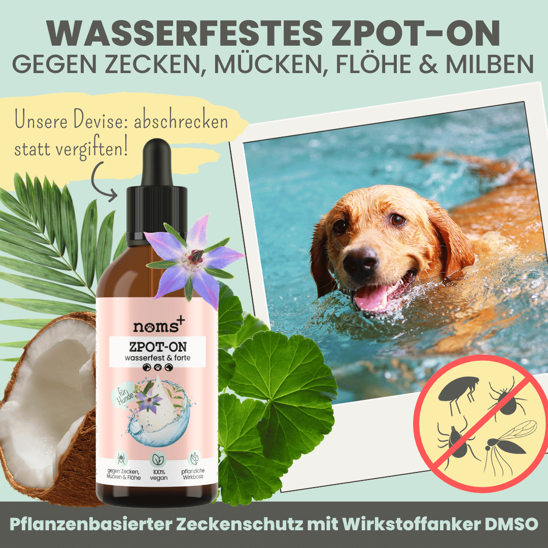 Noms+ – wholesale Pet spray – Dog – Waterproof spot-on for dogs against ticks, fleas, mites & mosquitoes [year supply]1