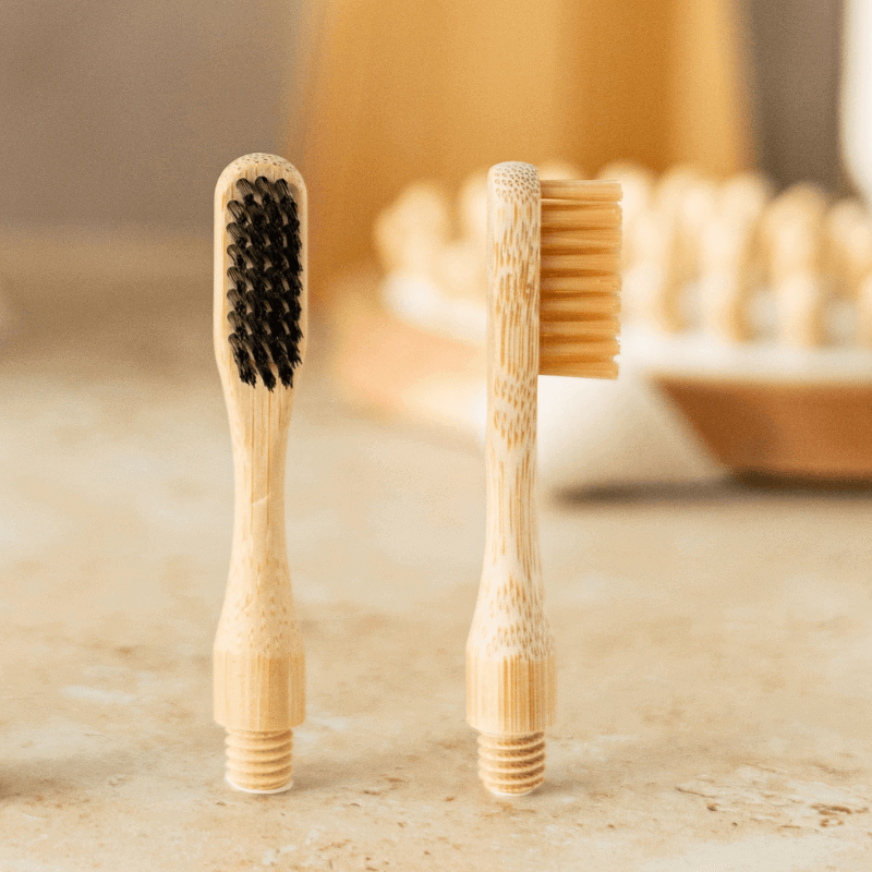 My Bambou - Wholesale Toothbrush - Bamboo Toothbrush with Changeable Head Medium Bristles to Customize - My Bambou1