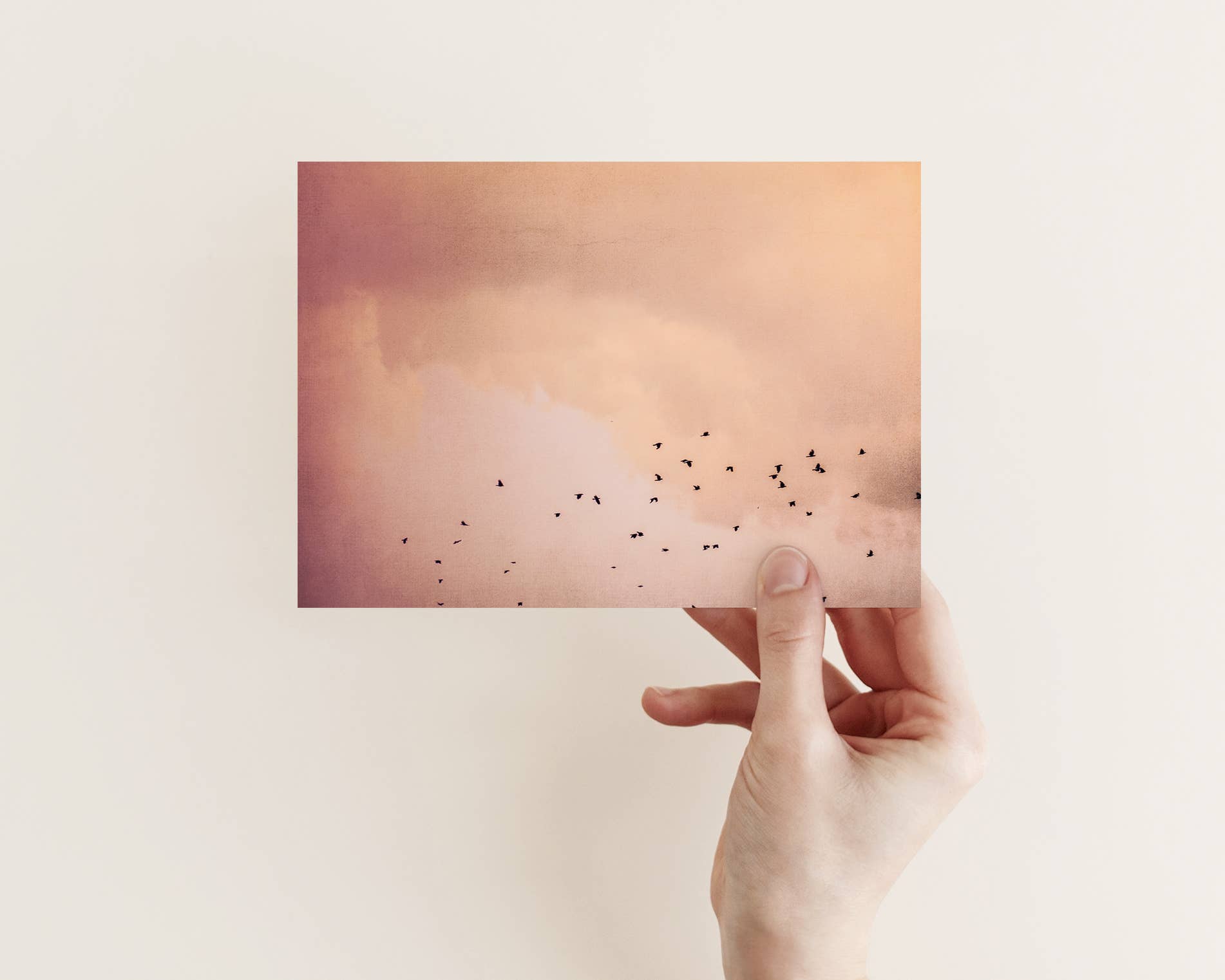 Justepixx - Wholesale Postcard - Postcard birds in the sky A61