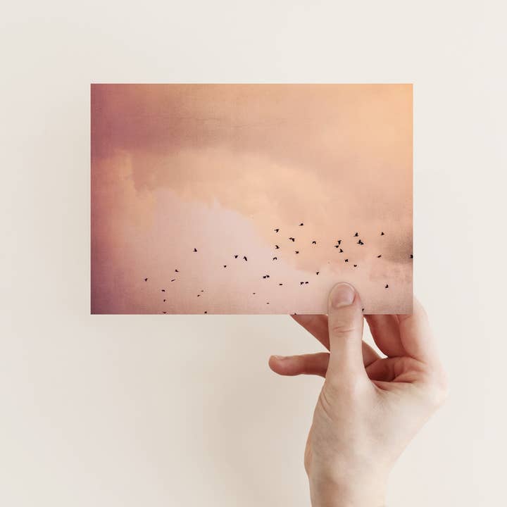 Justepixx - Wholesale Postcard - Postcard birds in the sky A61