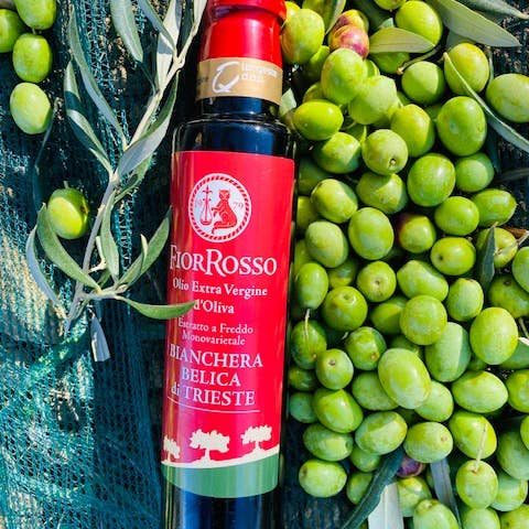FIOR ROSSO - Vendita all'ingrosso Olio d'oliva - Olio Extra Vergine d'Oliva - Bianchera Belica - 500ml