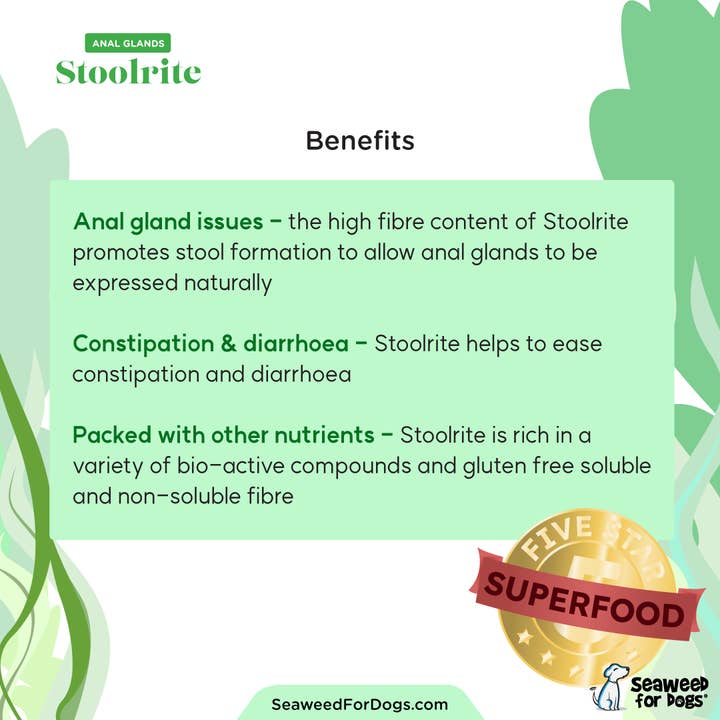 Seaweed For Dogs - Wholesale Pet Supplement - Dog - Stoolrite | For Anal Gland Issues in Dogs3