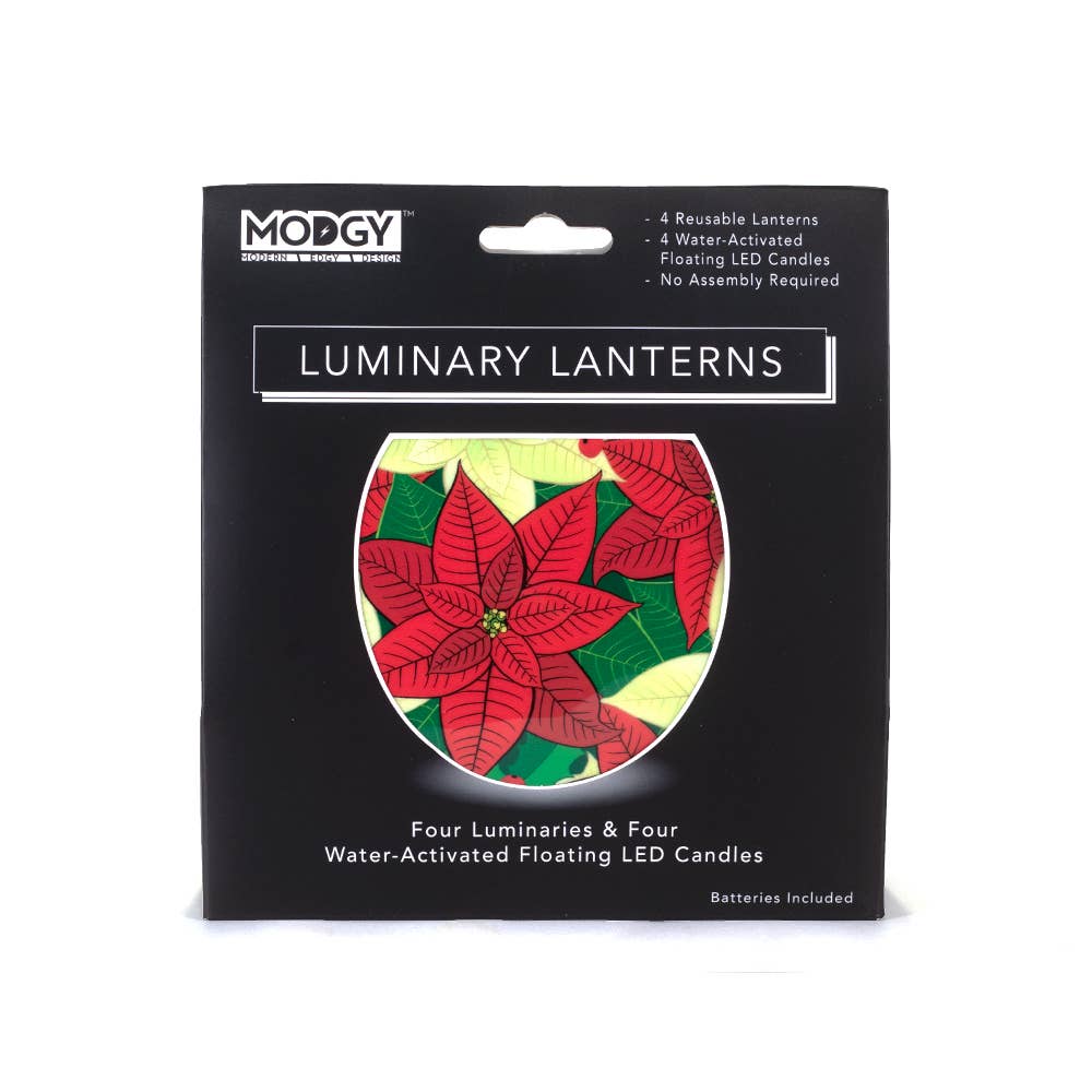 Modgy - Vente Décoration de Noël - Luminary - OnPoint - Poinsettia de Noël3