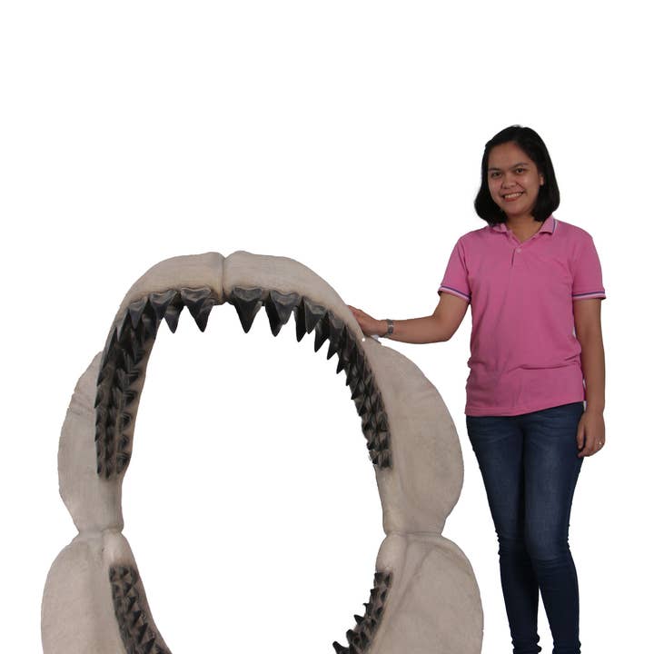 Megalodon Shark Jaw Statue for wholesale by LM Treasures