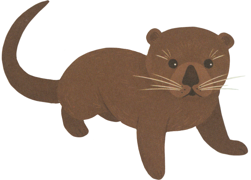 EDC Publishing - Vente Livre pour enfants de maternelle (de 3 à 5 ans) - Shine-A-Light : Les secrets du bord de mer2