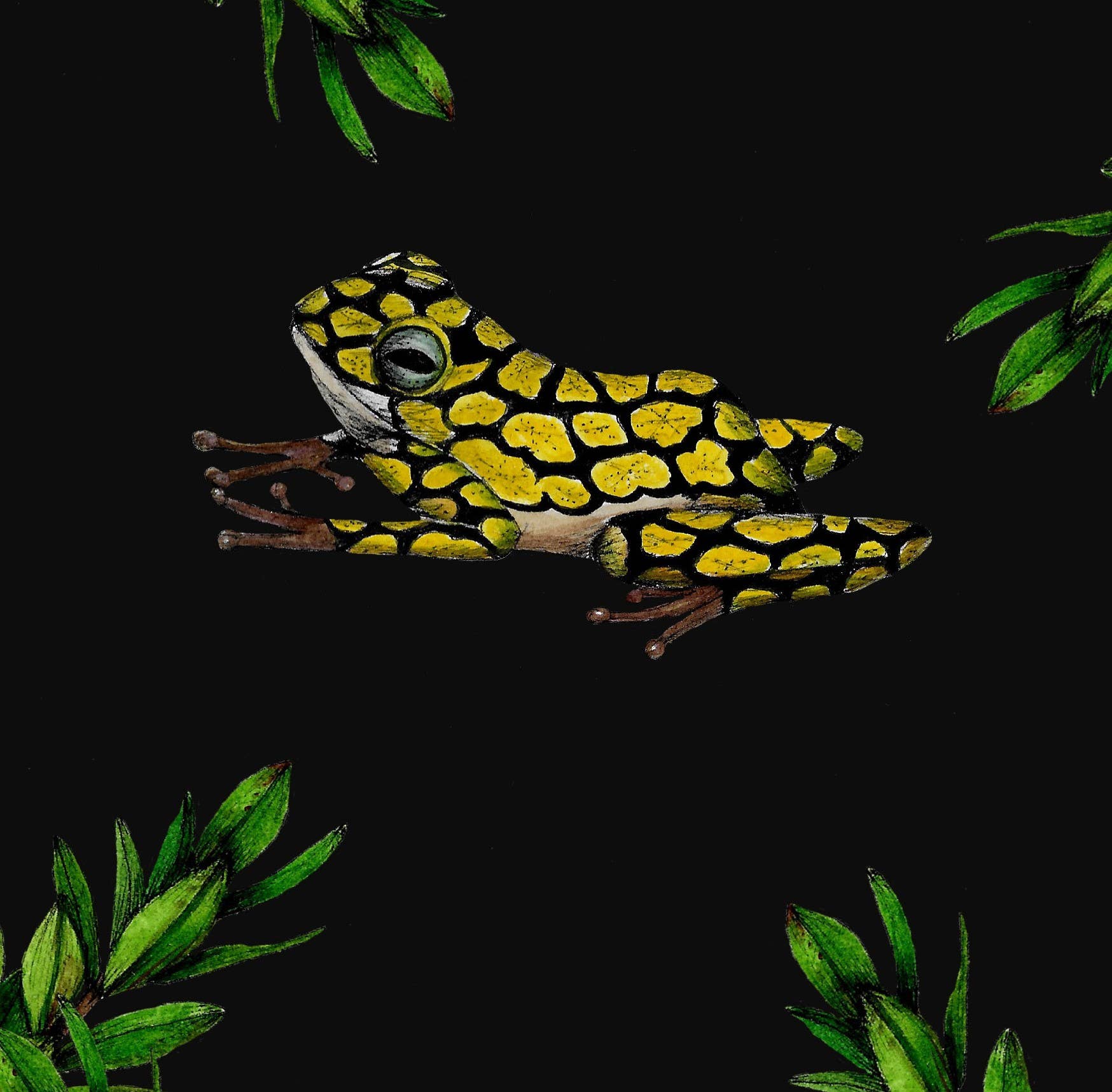 SENA CIFUENTES – Großhandel 3D-Wandkunst – RUNDE ALIA 83