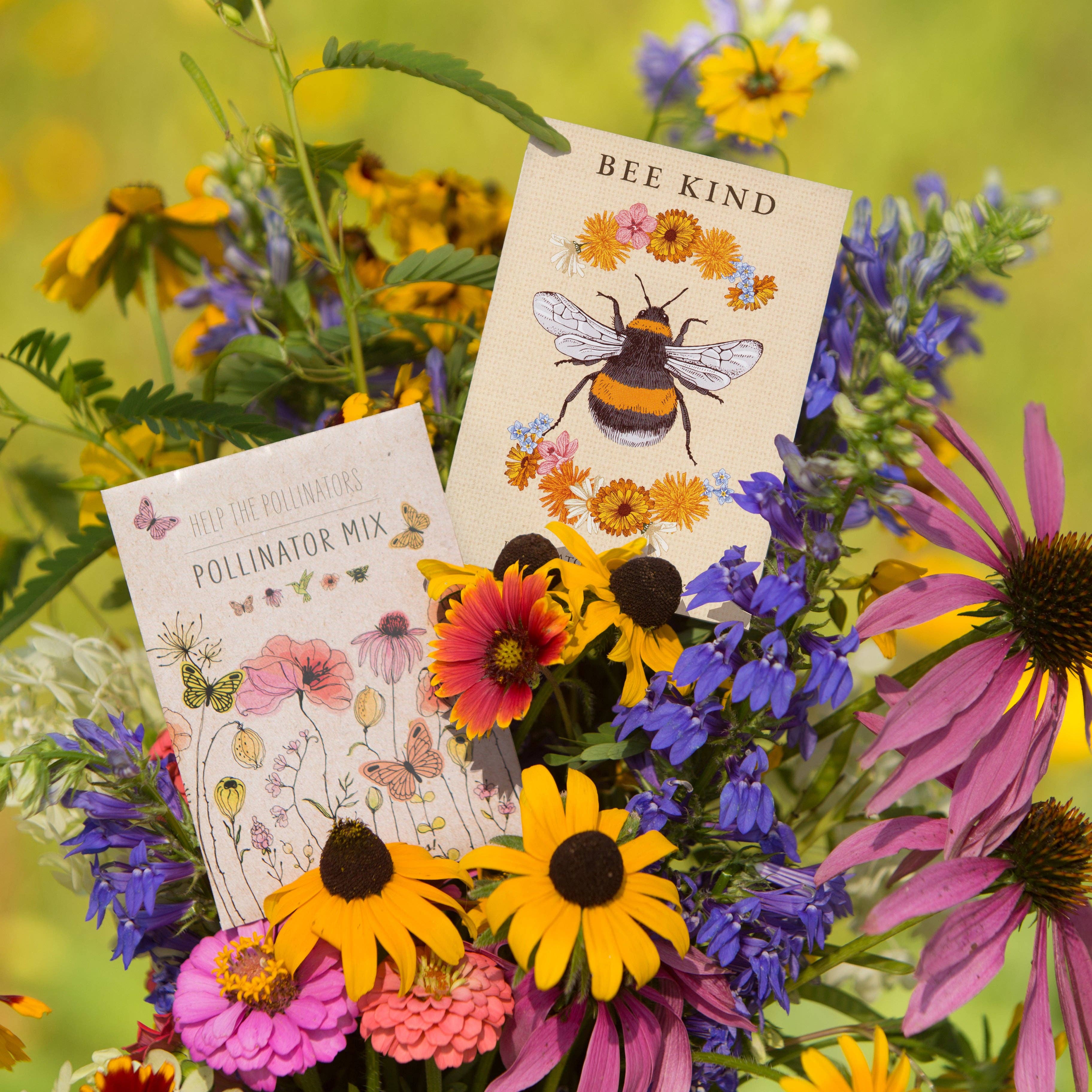 Bentley Seed Co. - Wholesale Plant Seeds - Bee Kind - Pollinator Wildflower Mix Seed Packets4