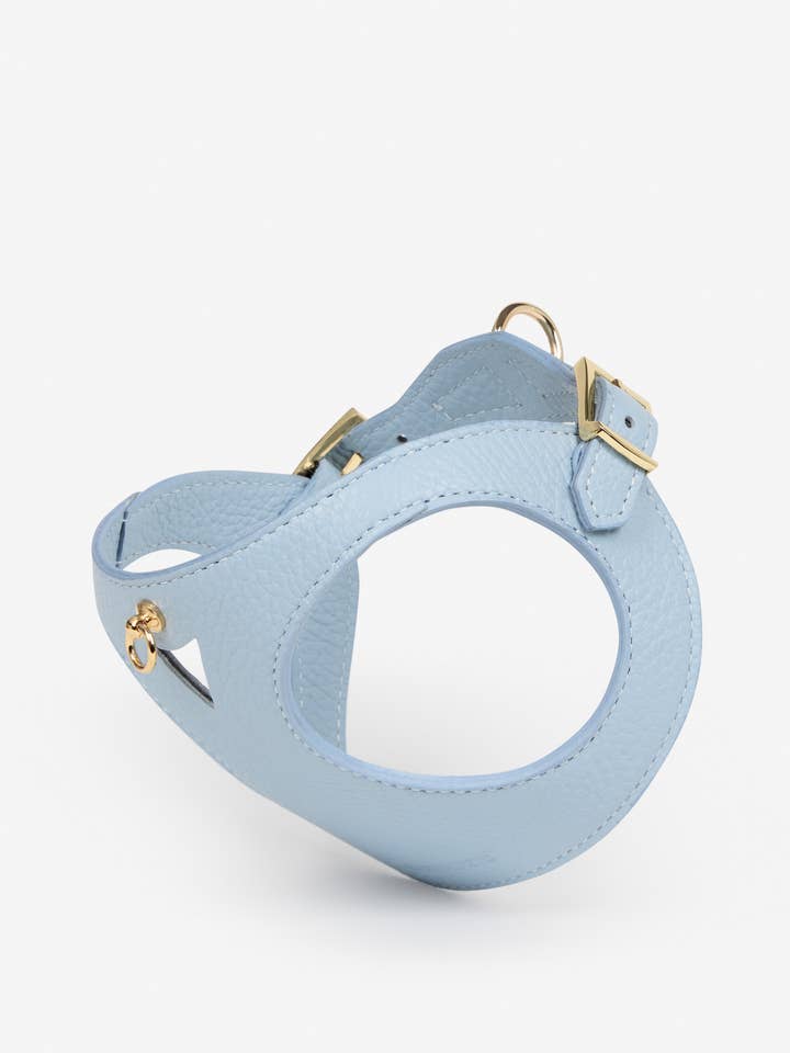 Juno sky blue harness for wholesale by Branni Pets